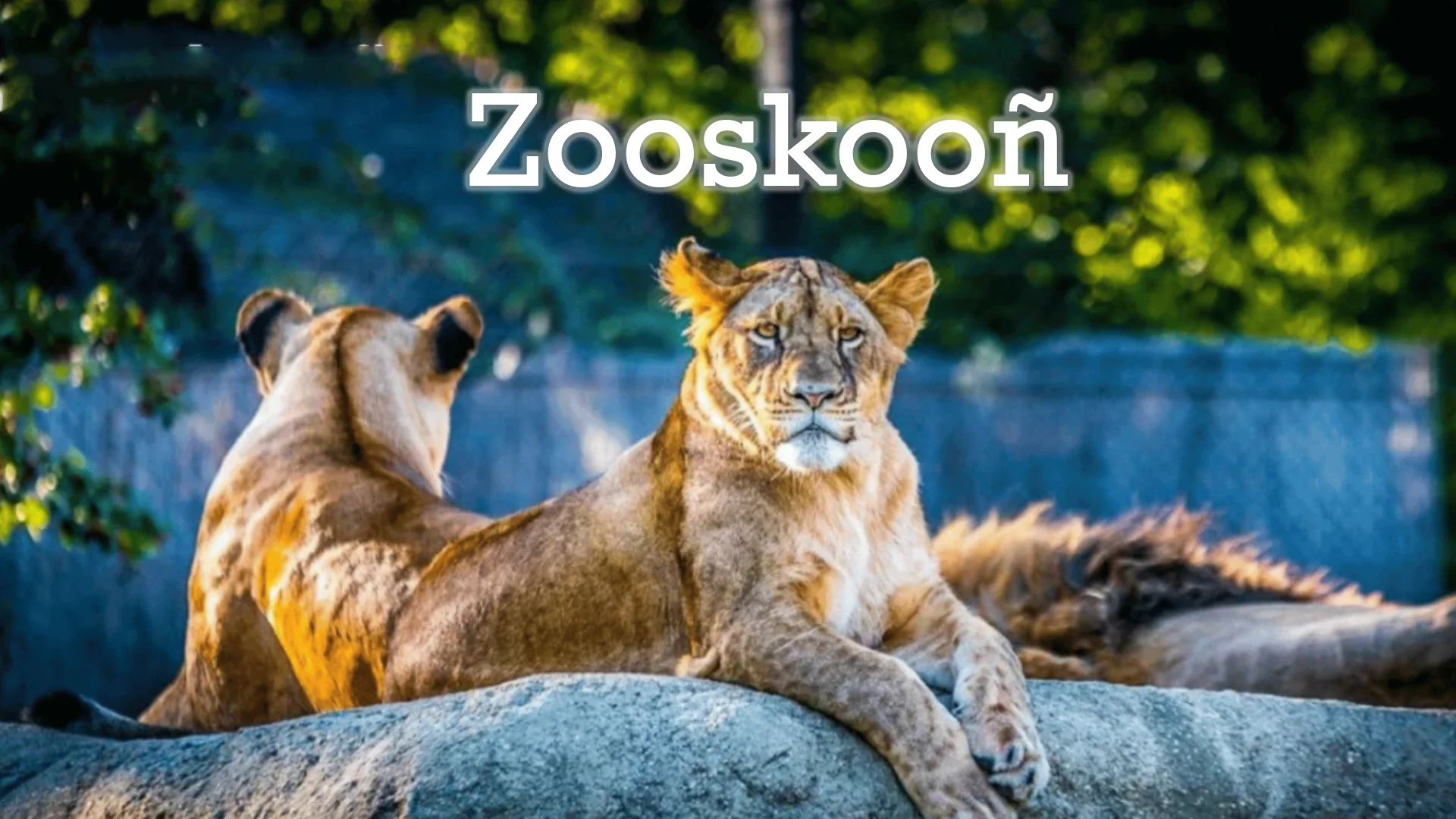 Zooskooñ