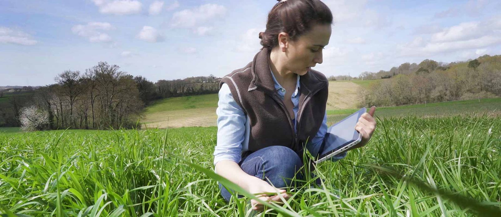 unprg – ingeniero agrónomo escurra clso